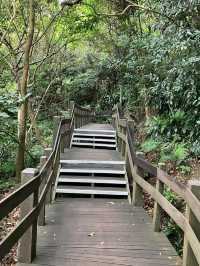 Refreshing Hike Along Hushan Nature Trail