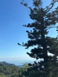 登天壇大佛 拜寶蓮禪寺