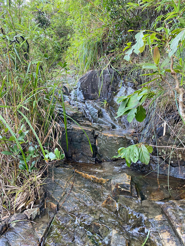 香港｜雙鹿石澗——四壘潭瀑布 ⛰️ 