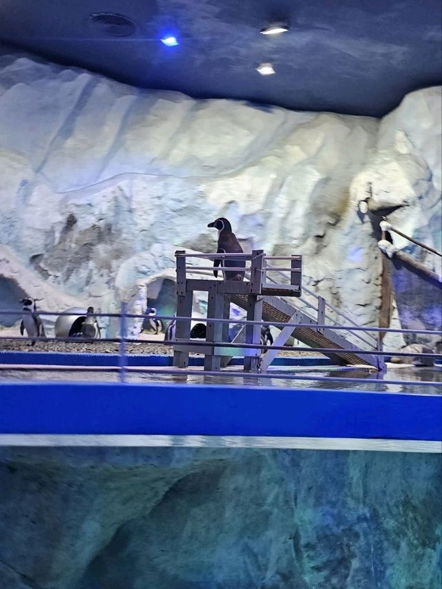 越南富國島hea遊11天 越南富國島hea遊11天