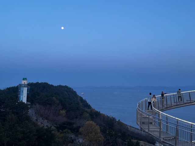 지금까지 이런 스카이워크는 없었다! 포항 스페이스워크