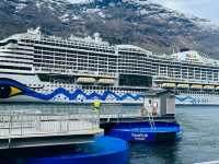 【世界一美しいフィヨルド】ガイランゲルで心震える絶景体験🚢🌄