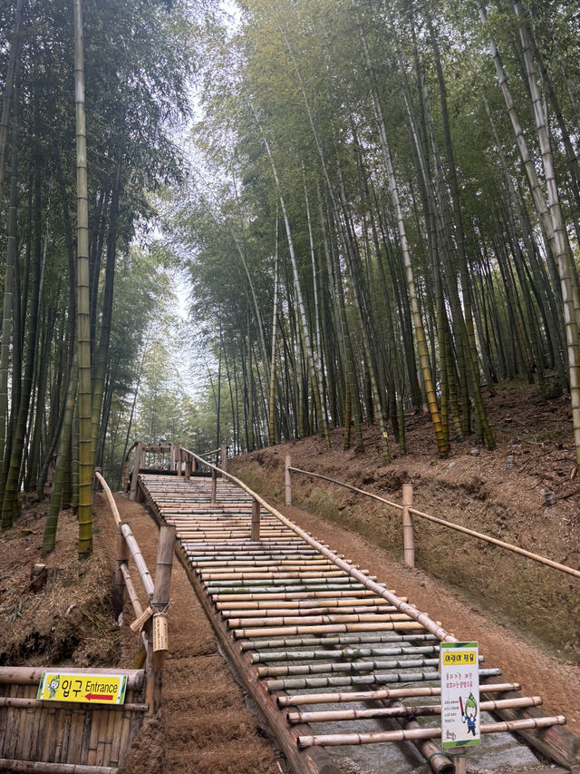 거제맹종죽테마파크