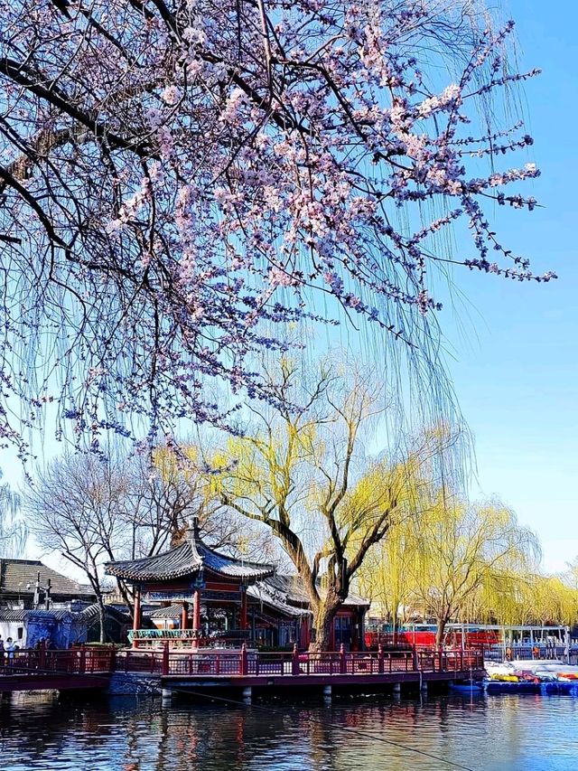 Beijing Houhai - The City's Nostalgic Waterfront Playground Beijing Houhai - The City's Nostalgic Waterfront Playground