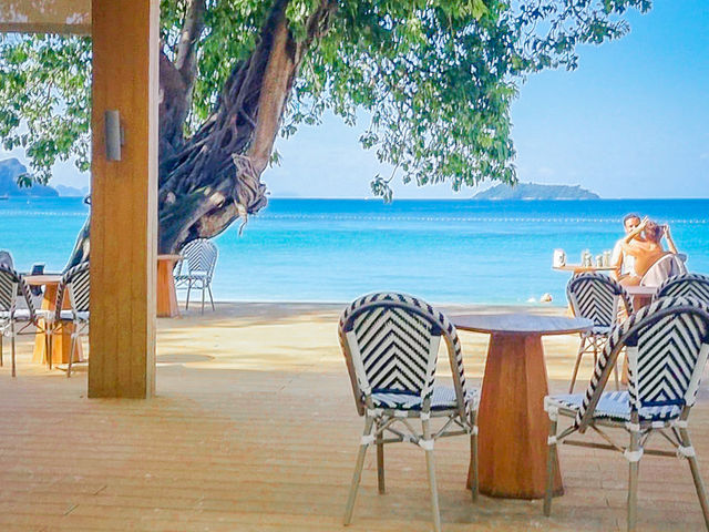 피피섬에서 가장 아름다운 해변을 가진 리조트 🏖️✨