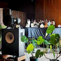 예쁜 고양이가 상주하는 재즈 가득한 쿠시로의 카페, Jazz & Cafe Cat!!