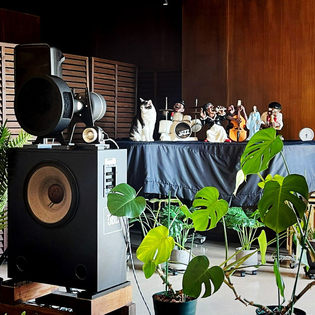 예쁜 고양이가 상주하는 재즈 가득한 쿠시로의 카페, Jazz & Cafe Cat!!
