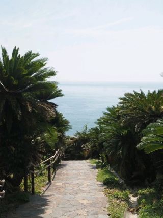 Shrine on a Cliff: 'Misaki Shrine'