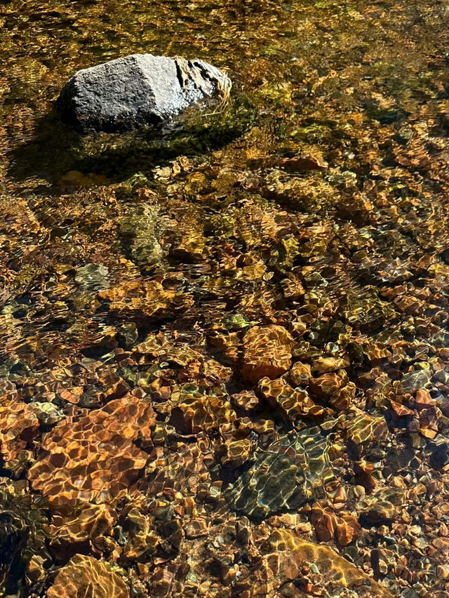 Meech Lake – A Serene Escape in Gatineau Park