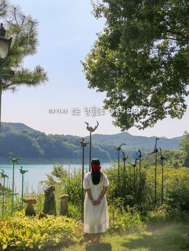 자연과 음악과 영화가 있는 아름다운 제천 여행 코스🌿