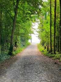 🌿 Royal Victoria Park – Bath’s Historic Green Haven 🌿