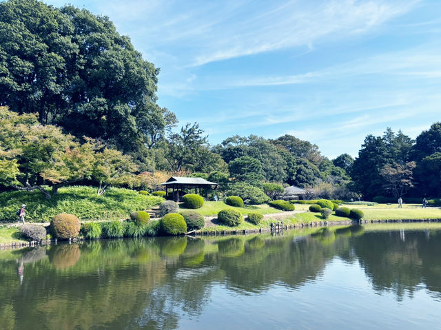 新宿御苑:我心目中的城市後花園 🌸🏙️ 新宿御苑:我心目中的城市後花園 🌸🏙️