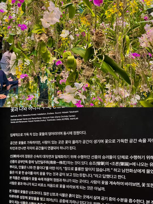 🌆 도쿄에서 즐기는 특별한 실내 여행 ✨