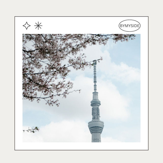 🌸 Sumida Park – ซากุระคู่ตึก Tokyo Skytree