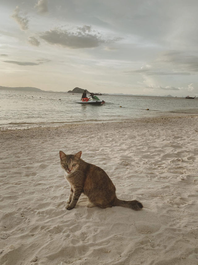 ทริปเที่ยวภูเก็ต 2วัน 1คืน 🌊🏝️