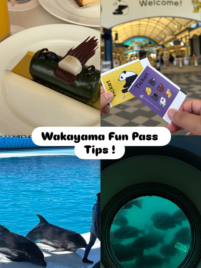 🌴 Wakayama Trip Review – Fun Pass Worth It? YES! 🎟️🐼🍰🌅