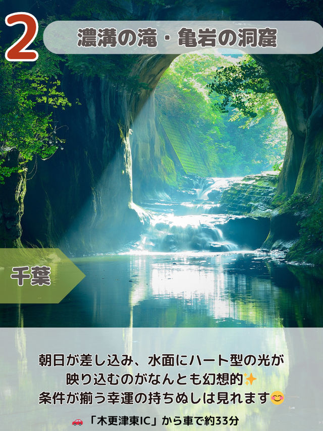 【関東圏】ここガチでよかった😳上半期スポットランキング2025最強6選💪🌿🌸