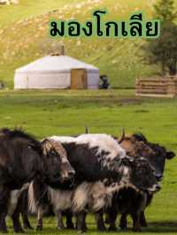 มองโกเลีย