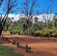 Noble Falls - Pleasant Cascades on the Edge of Perth Hills