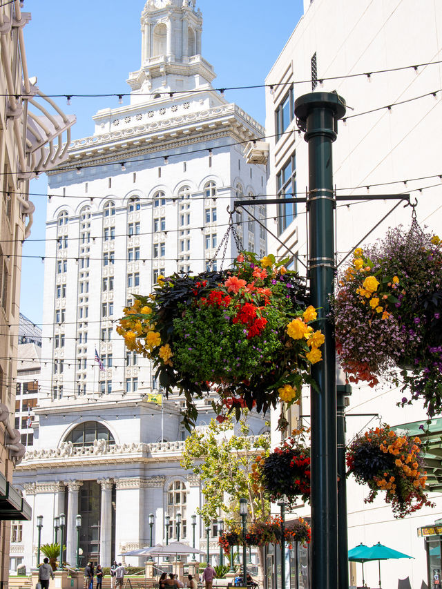 オークランド オークランド