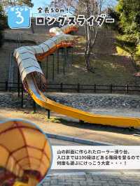 完全無料で遊具大充実の公園