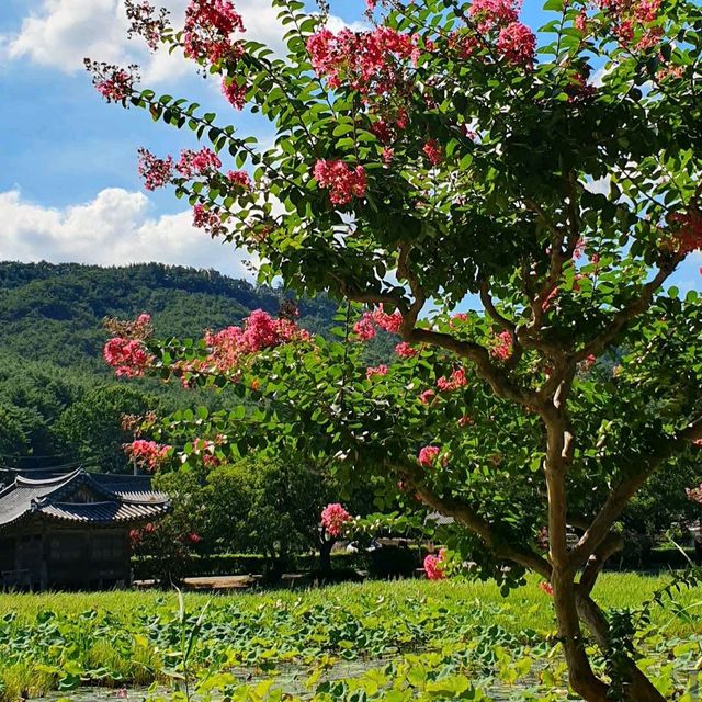 Seochulji Pond Seochulji Pond