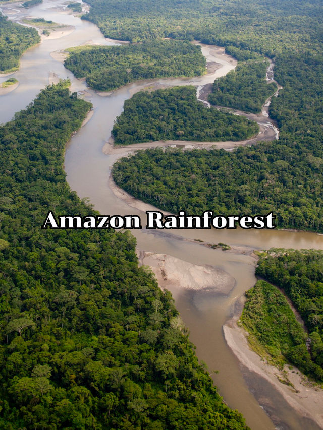 Amazon Rainforest  Amazon Rainforest