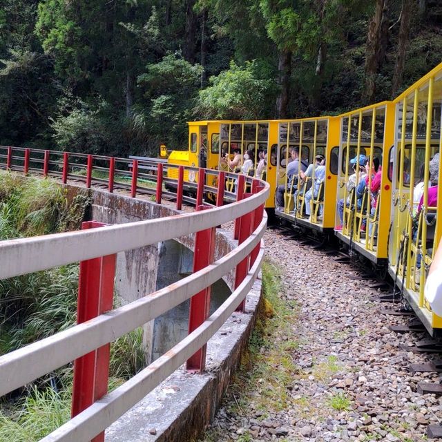 適合看日出的好地方_太平山國家森林遊樂區