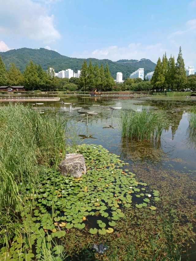 산책하기 좋은 연지공원