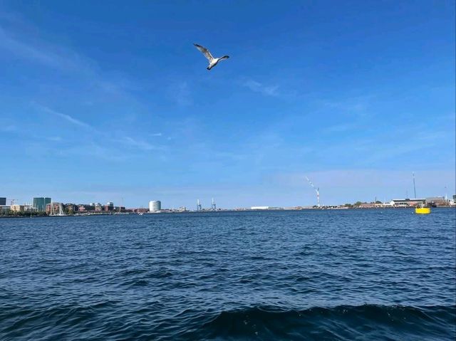 Soaking Up the Charm of Copenhagen