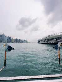 Golden Hour to City Lights: The Star Ferry Ride That Stays With You