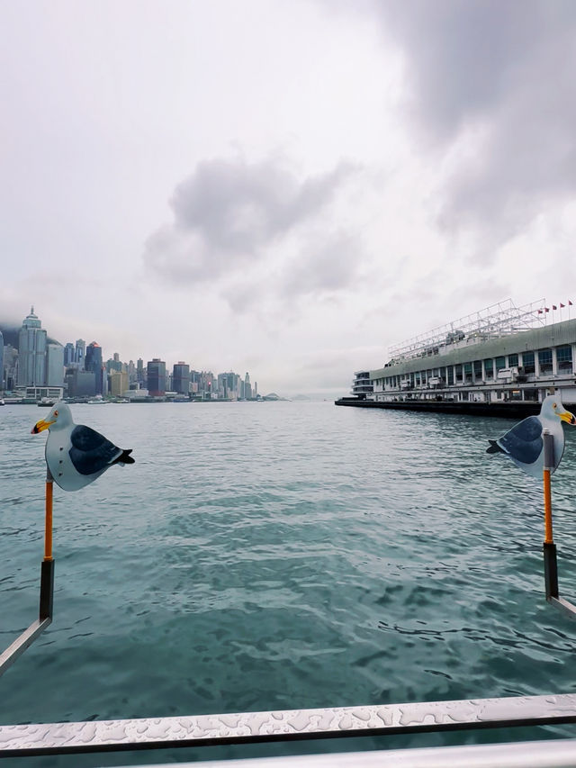 Golden Hour to City Lights: The Star Ferry Ride That Stays With You