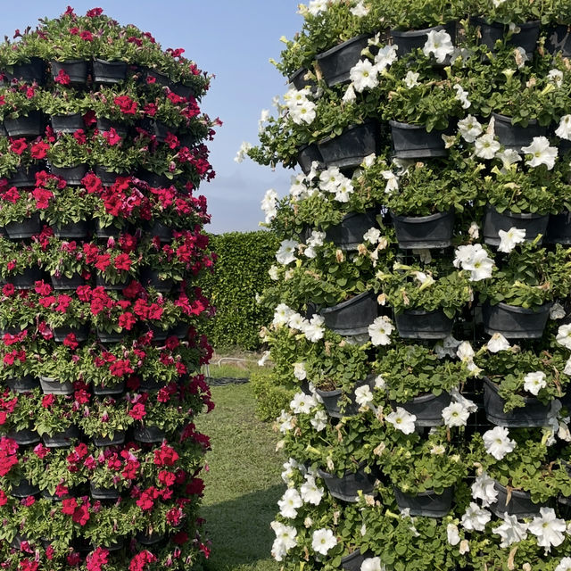 꽃의 향기로 물든 대만 오후 — Zhongshe Flower Market 여행기