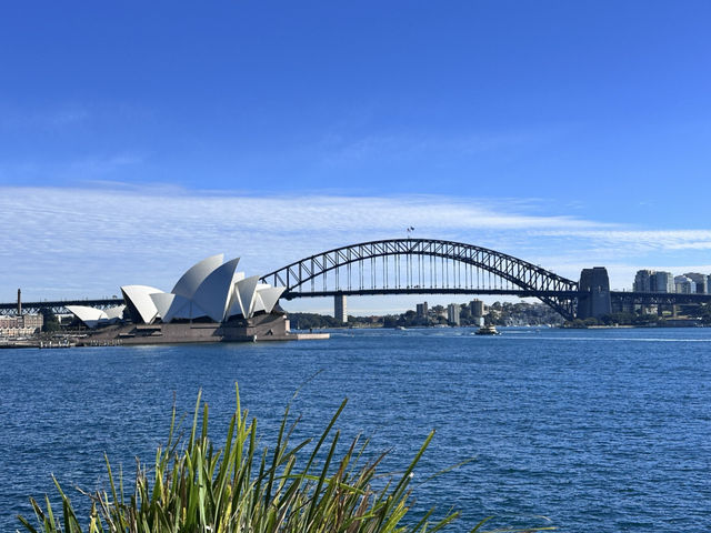 Strolling Sydney: City Walks, Sunshine & Spectacular Evenings 🌞🌆 Strolling Sydney: City Walks, Sunshine & Spectacular Evenings 🌞🌆