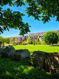 🌿 Jardin Botanique de Bordeaux – A Living Museum of Plants 🌸