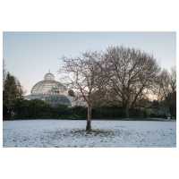 Winter Wonders at Sefton Park, Liverpool