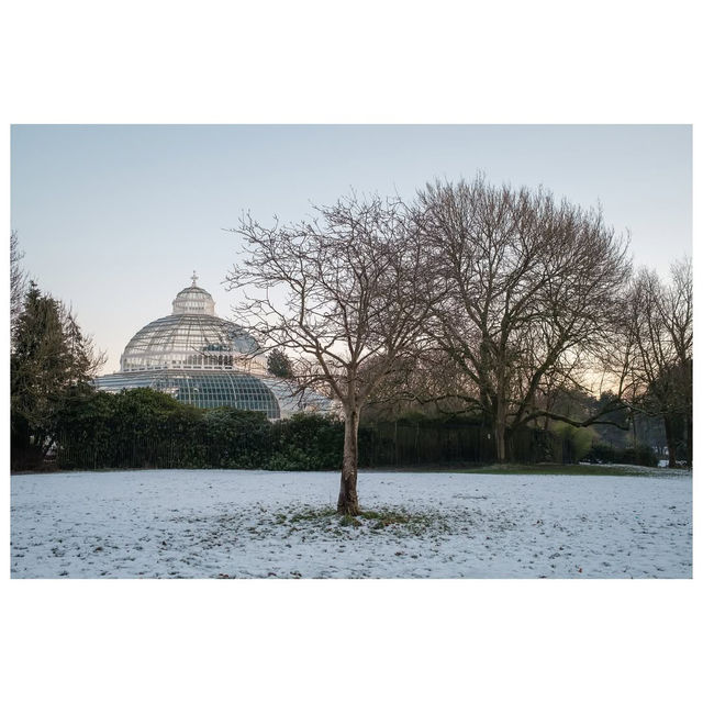 Winter Wonders at Sefton Park, Liverpool