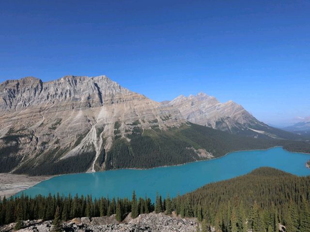 Scenary River Scenary River