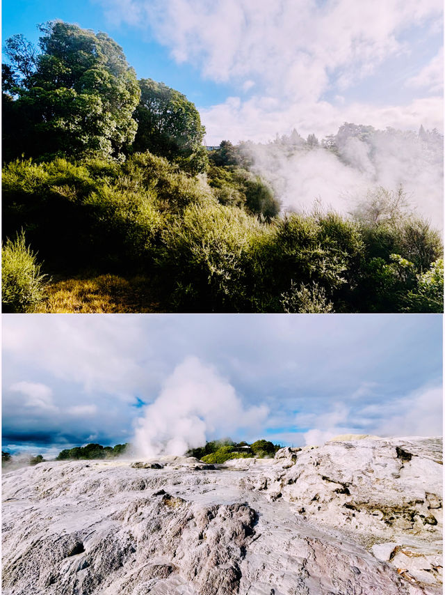 【新西蘭北島】波胡圖間歇泉（Pohutu Geyser）：震撼的自然奇觀，感受地熱的力量