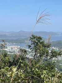 感受芒草包圍
