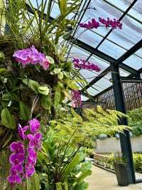 KL Blooms Escape🌸 Taman Orkid