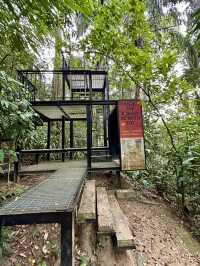 Urban Jungle Walk🌳  Taman Tugu