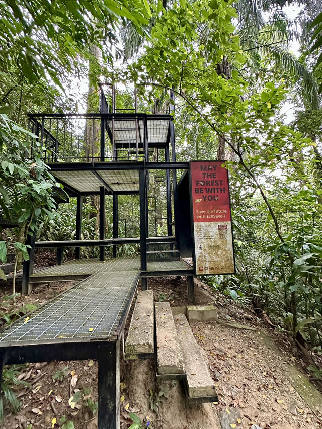 Urban Jungle Walk🌳  Taman Tugu
