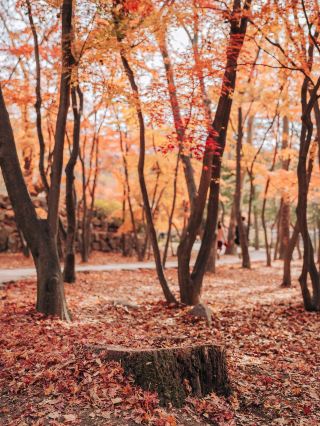 10월 경북 경주 여행 일정