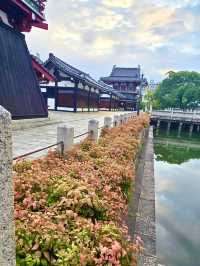 สัมผัสความสงบ 1,500 ปีที่โอซาก้า ⛩️✨