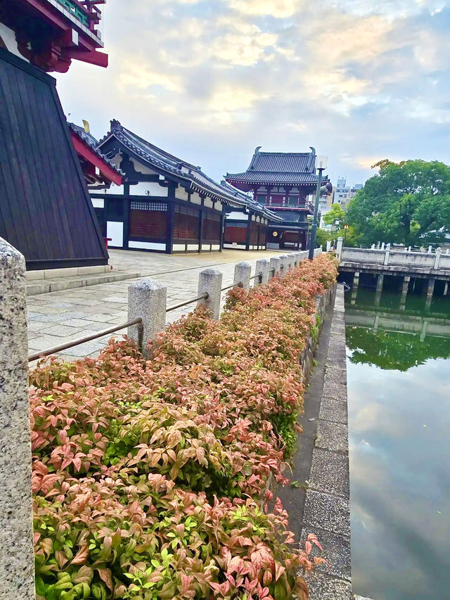 สัมผัสความสงบ 1,500 ปีที่โอซาก้า ⛩️✨