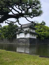 THE IMPERIAL PALACE.