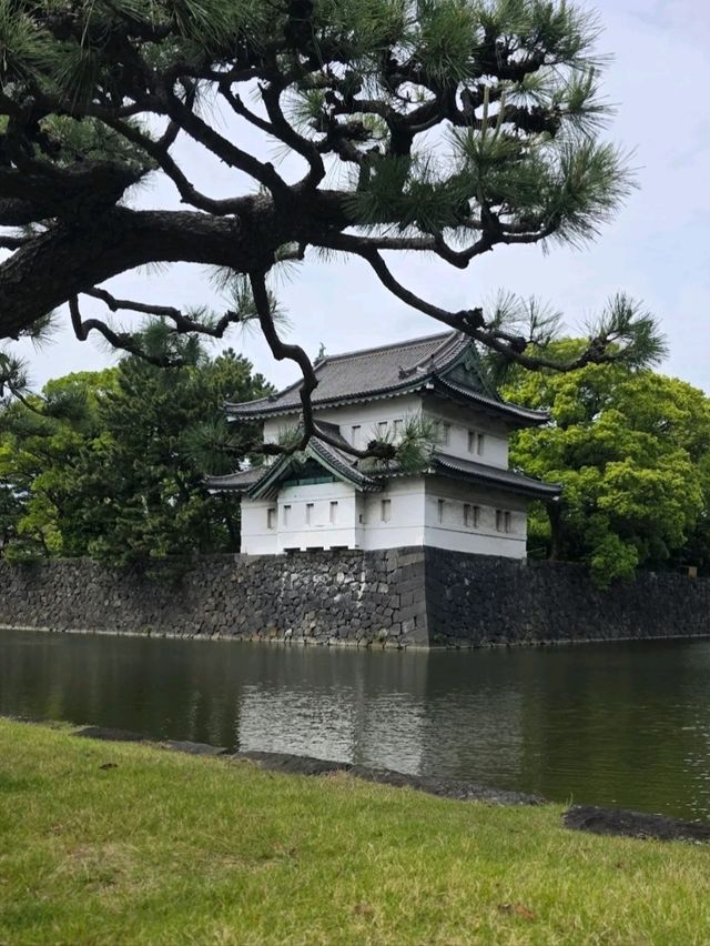 THE IMPERIAL PALACE. THE IMPERIAL PALACE.
