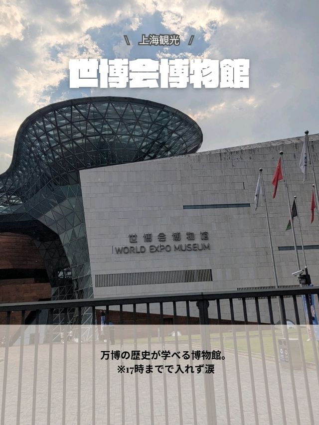 🇨🇳上海旅行　２回目どこいく？