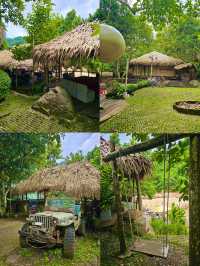 🌲 Stay Wild & Cafe แม่แตง! 🌲
